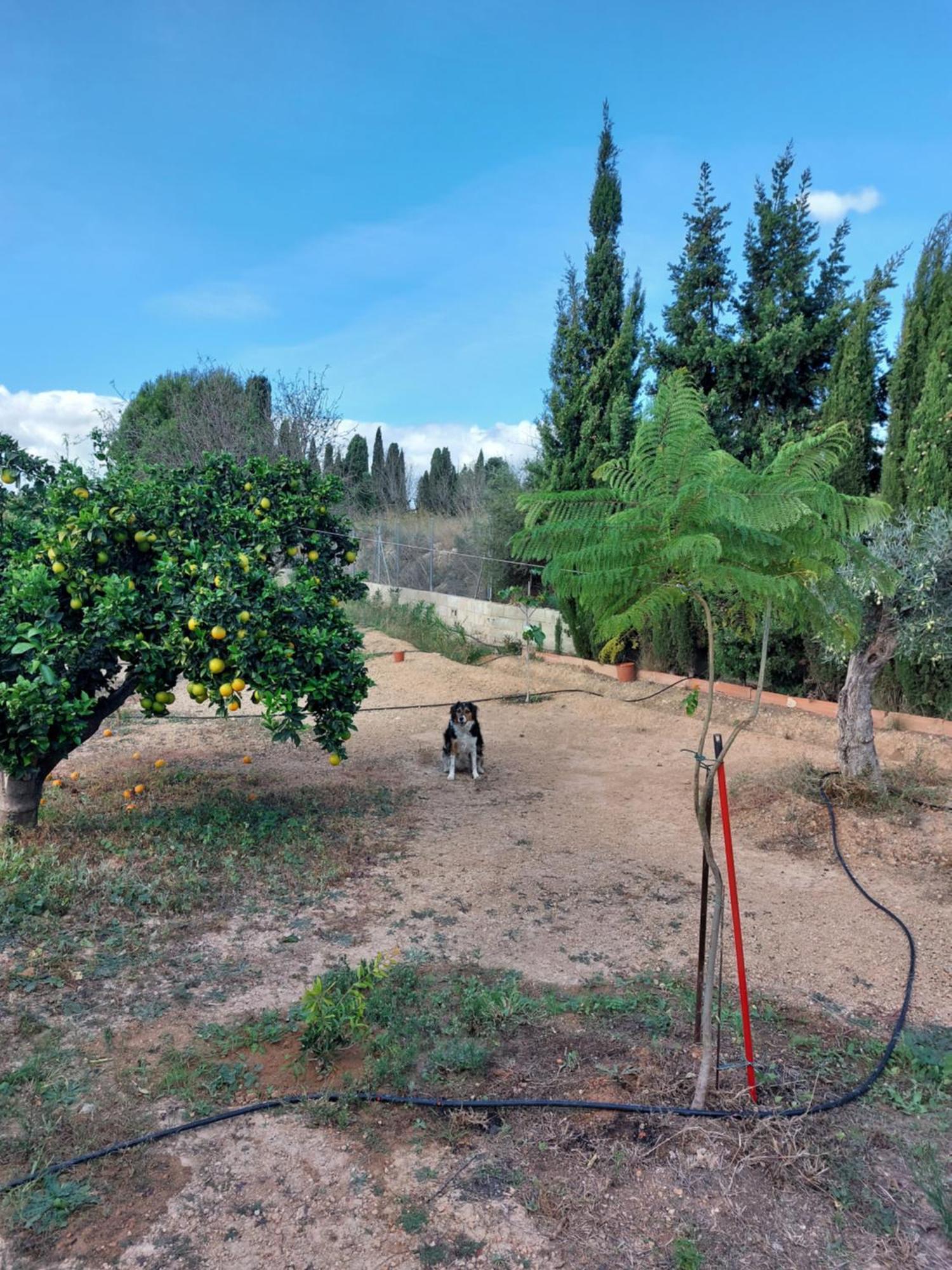 Les Berreries Villa Montroy Dış mekan fotoğraf