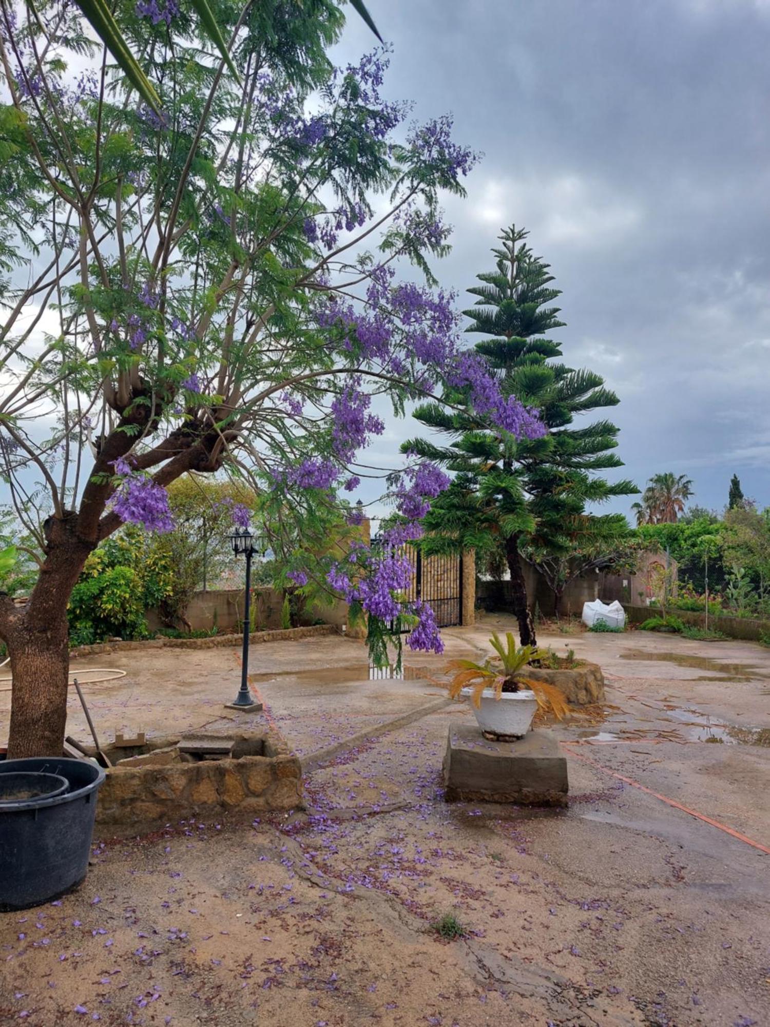 Les Berreries Villa Montroy Dış mekan fotoğraf